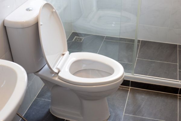 Toilet Replacement Service