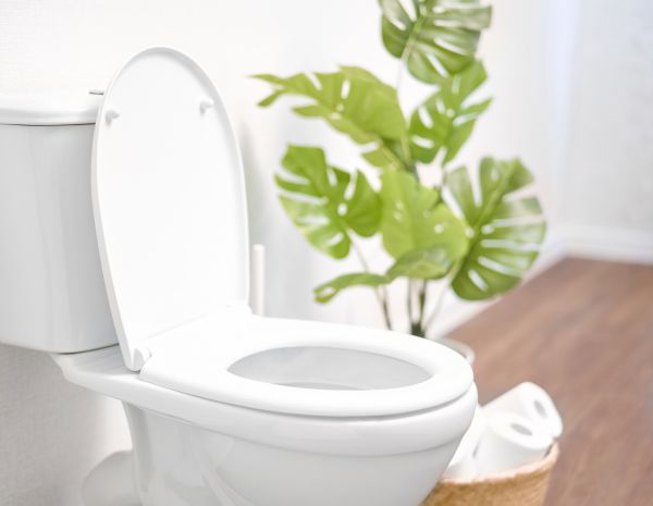 Toilet Plumbing Service