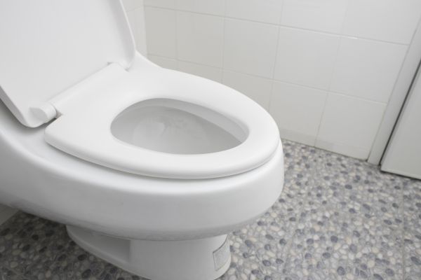 New Toilet Installation Service